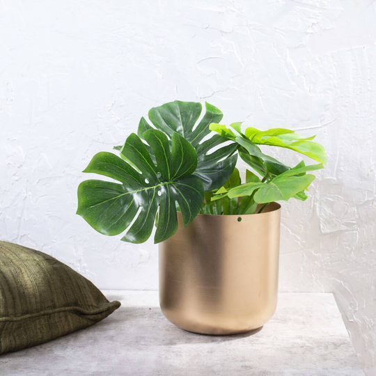 Gold Finish Hanging Indoor Planter