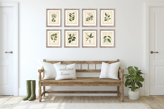 8x10'' Vintage Botanical Prints Set Of 8 Poster Green Herbs Print Flower Art Neutral Decor