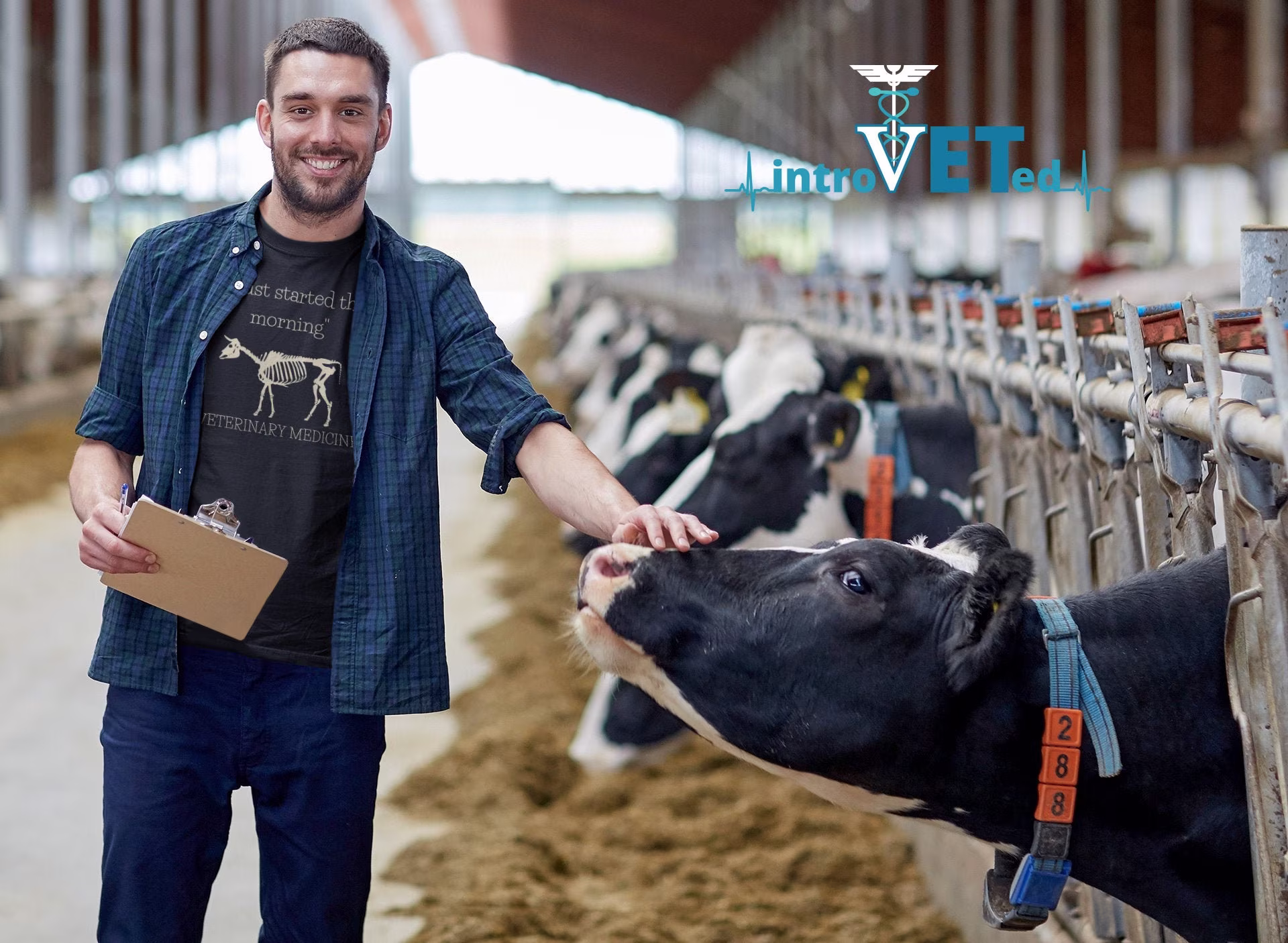 Veterinarian Shirt, Vet Tech Cow Gift, Gift, Vet Student Shirt, Vet Nurse Gift