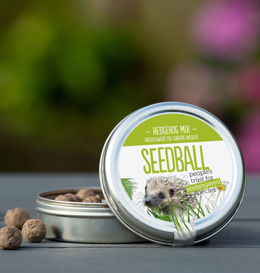 Hedgehog Seedball Wildflower Seed Mix Tin