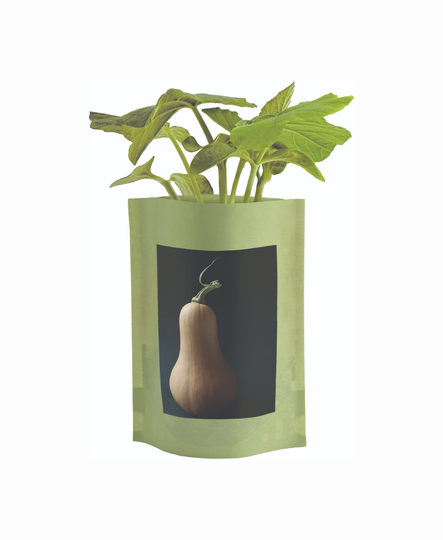 Butternut Squash Seed Start | Complete Easy To Grow Kit - Culinary Raised Bed Garden Fall Favorite Gift