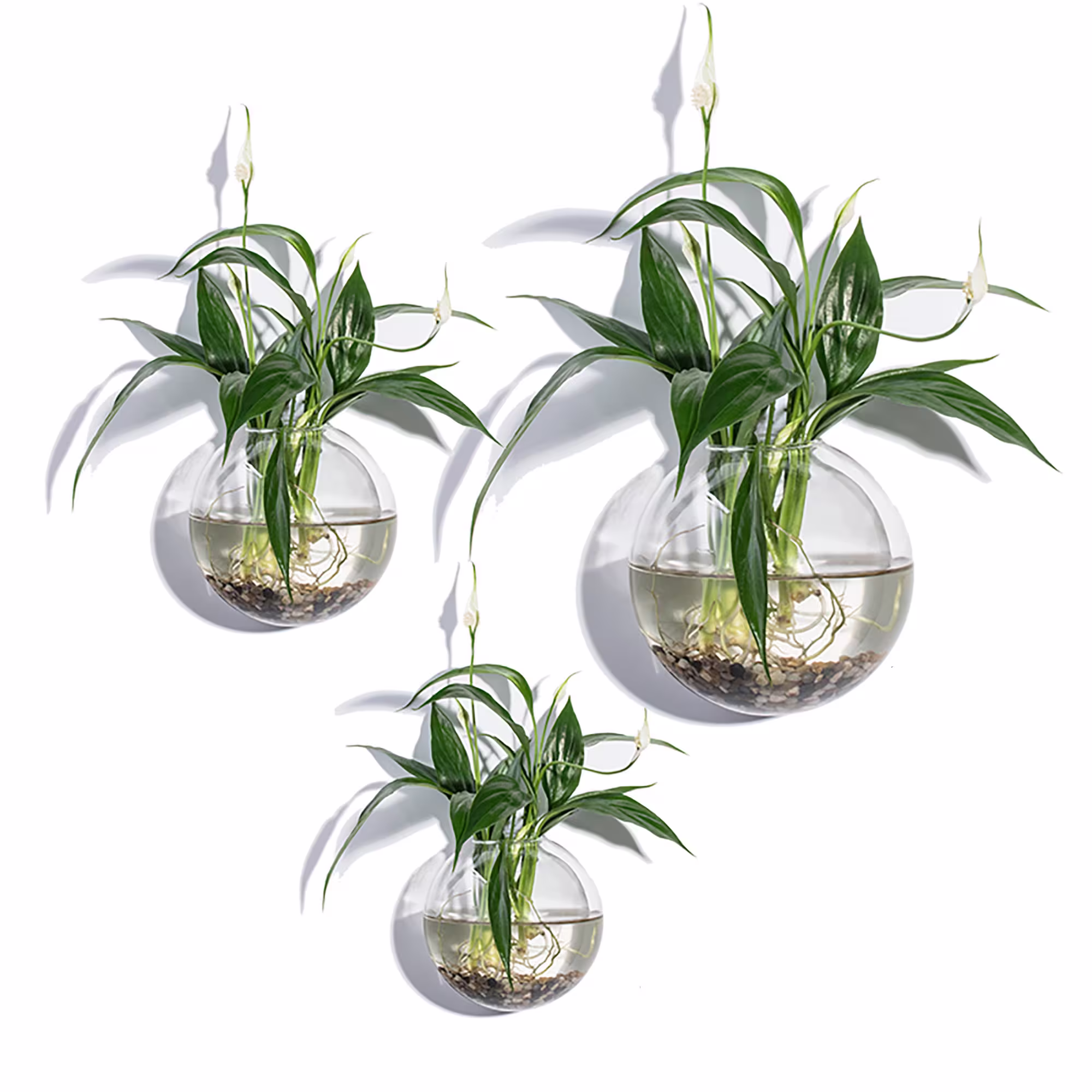 Set Of 3 Bubble Terrariums, Glass Wall Mounted Vase, Hydroponic Vases, Moss Planters, Garden Decoration