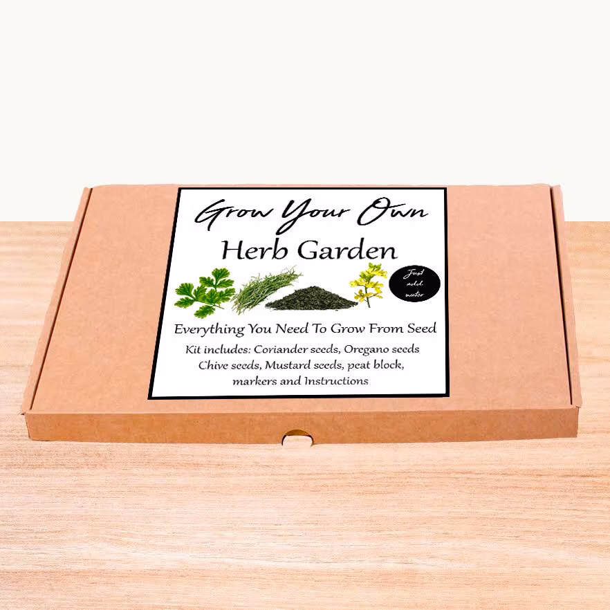 Herb Garden Seed Kit - Grow Your Own Indoors Or Outside -| Basil | Chive Mustard Coriander Allotment Gardener Windowsill
