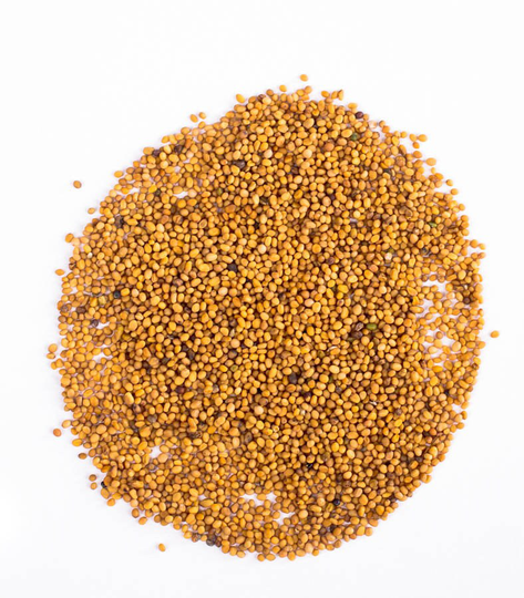 Yellow Mustard Seeds - 25 -50G Sinapis Alba Brassica Hirta Whole Dried Quality Herbs & Spices