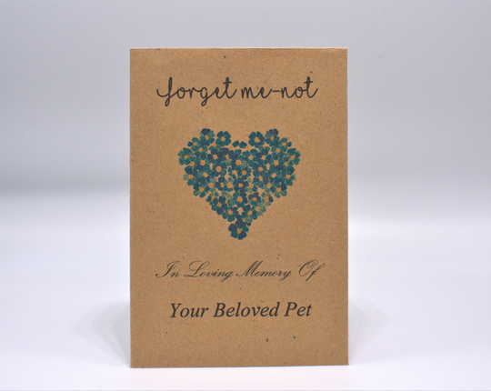 Funeral Favour Forget Me-Not Seed Packets Memorial | Remembrance Gift | With Seeds Pet Loss Vet Favours Seeds Sympathy Gift