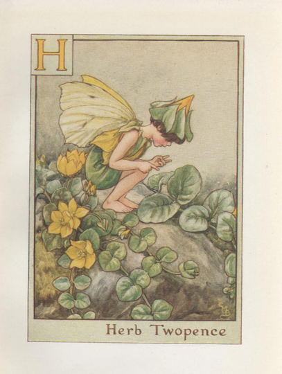 Alphabet Flower Fairies H For Herb Twopence Fairy Vintage Print C1930 By Cicely Mary Barker Letter