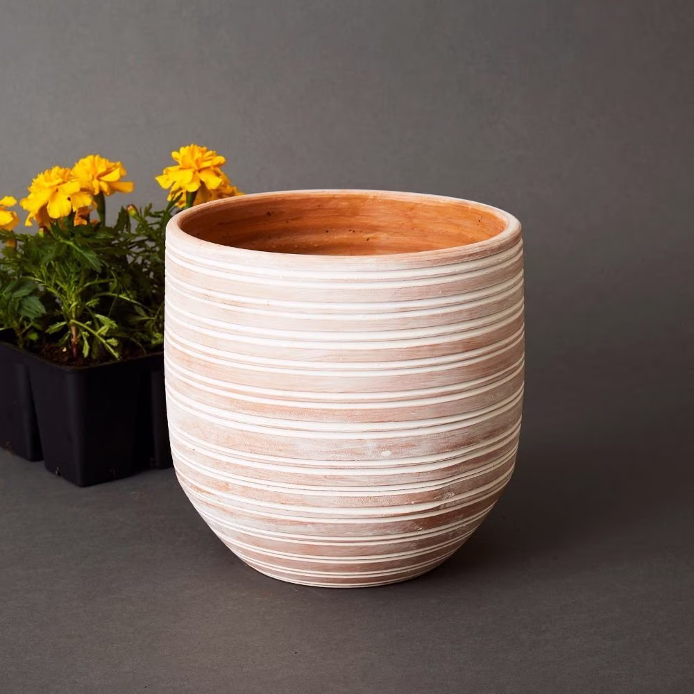 Bangladesh Large Rustic Striped Succulent Terracotta Pot
