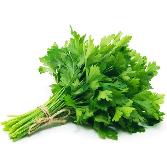 Coriander Seeds - Coriander Seeds For Indoor & Outdoor Growing - Non-GMO - Heirloom Organic Seeds - High Germination - High Yield - Super Tasty - 15g