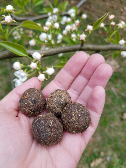 All-Natural Plant-Based Seed Bombs With Partial Shade Wildflower Seeds & Handmade, Biodegradable Plant Fiber Paper