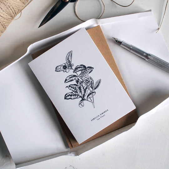 Botanical Illustration Card: Tea Plant