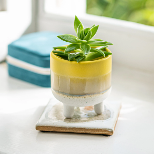 Dip Glazed Stoneware Yellow Planter, Succulent Plant Pot, Desk