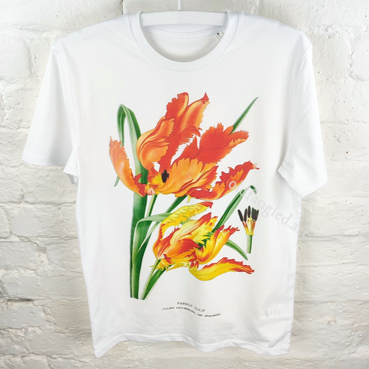 Parrot Tulip | 1896 - Unisex Organic T-Shirt, Vintage Style Botany T-Shirt, Floral T-Shirt