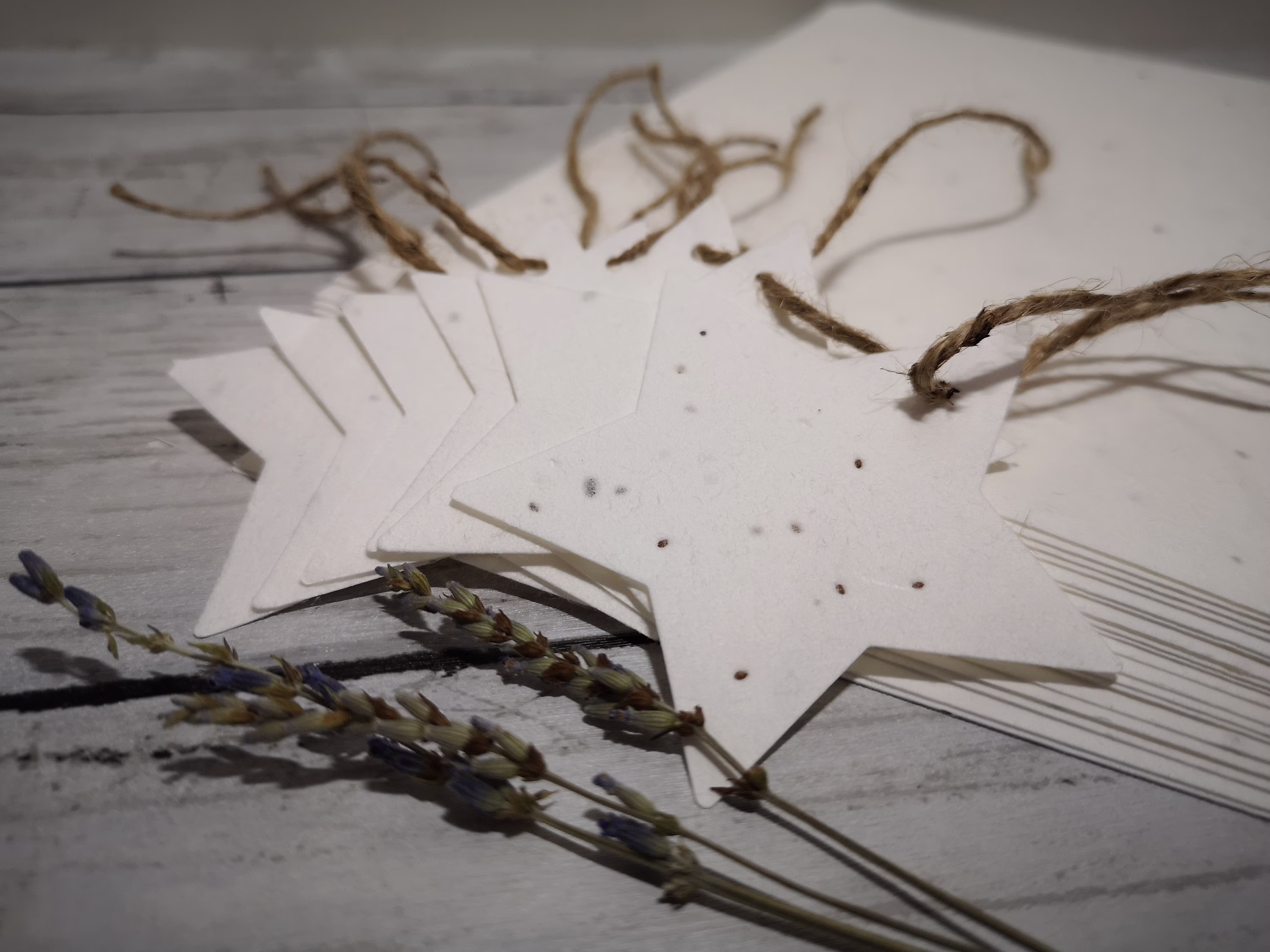10 Lavender Seed Paper Star Gift Tags/ Plantable Eco-Friendly Lavender Seed Paper/ Christmas Gift Tags