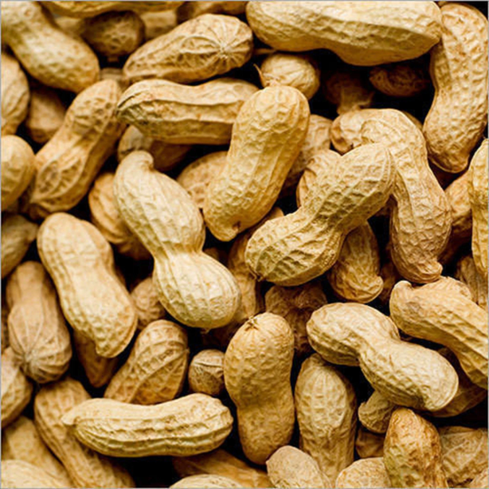 Roasted Peanuts | Salted Whole High Quality Organic 100% Healthy Nuts Fresh Pure