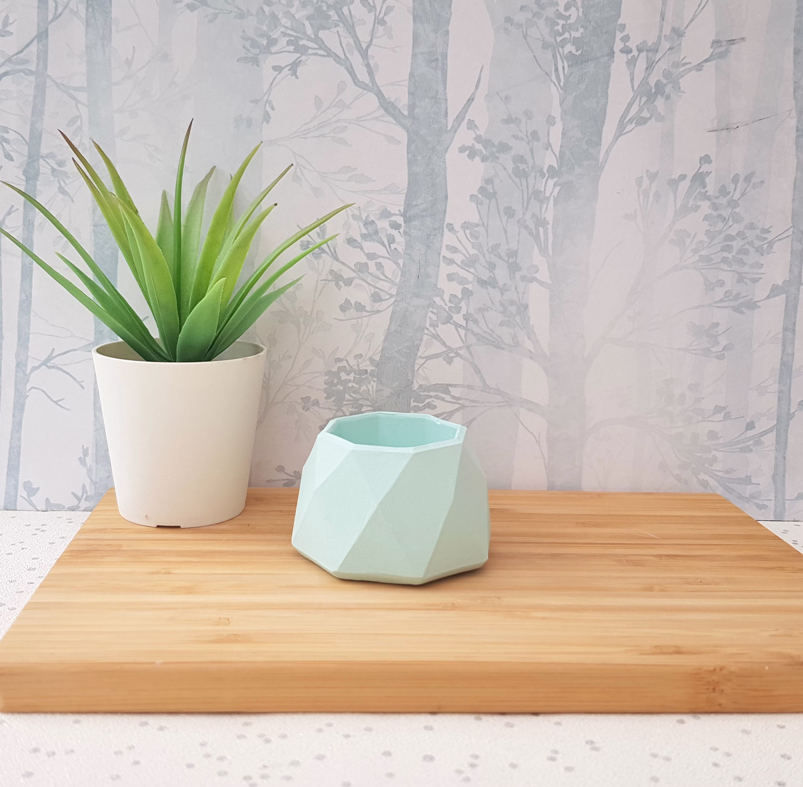 Concrete Pots | Gift Set
