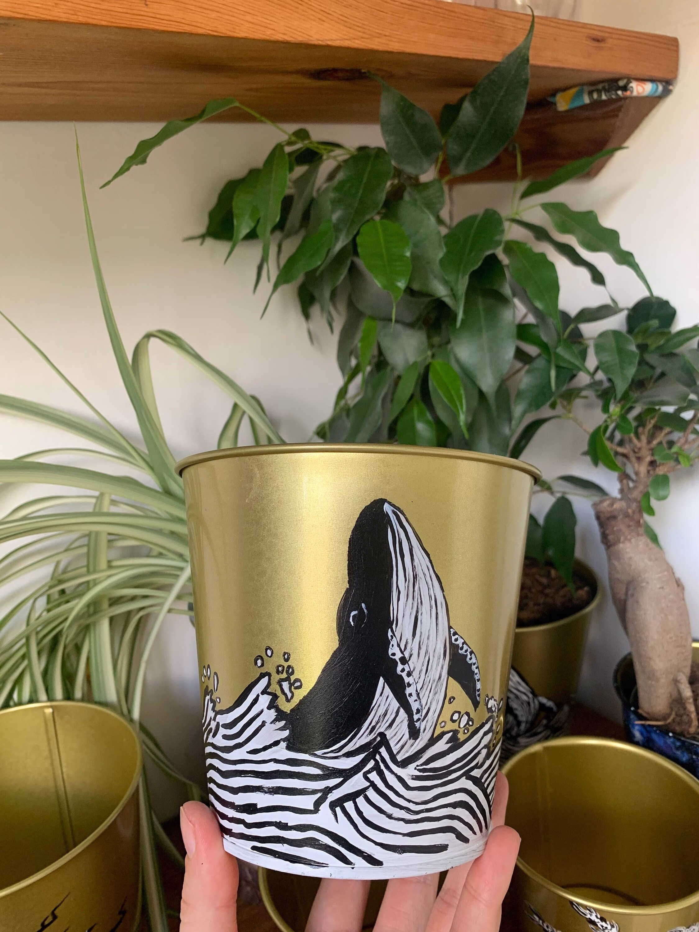 Whale Hand Painted Indoor Plant Pot