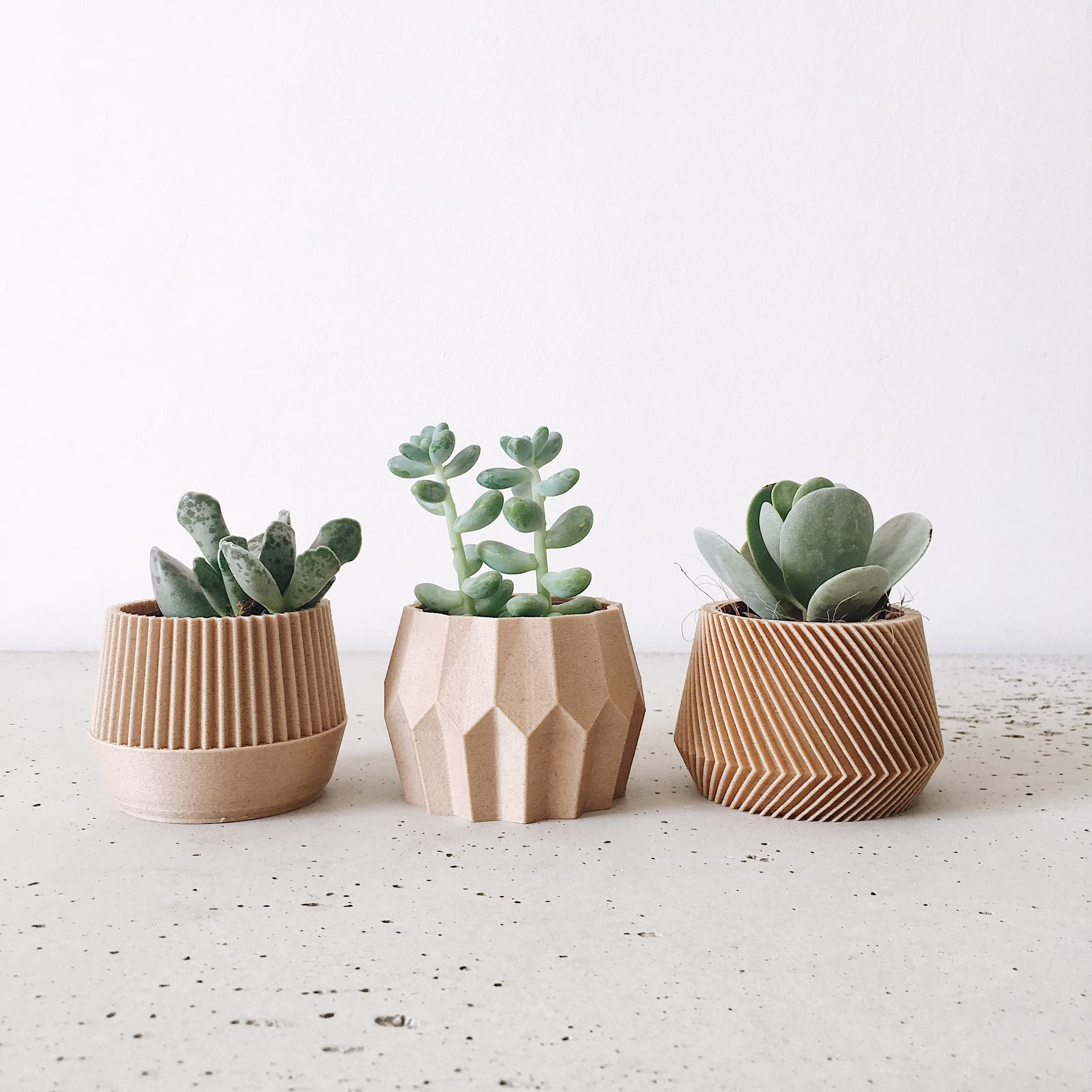 Set Of 3 Small Succulent Plant Pots - Original Planter Gift