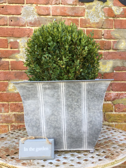 Set Of 3 Parisian French Planter/ Pot/Containers/ For Patio.terrace.conservatory
