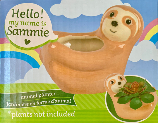 Succulent Ceramic "Sloth