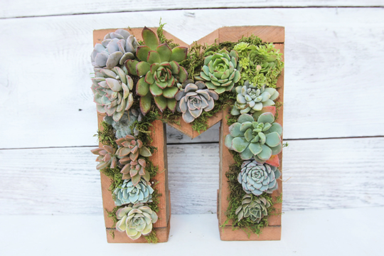 10'' A-Z & 0-9 Letter Planter Mother's Day Gift Idea, Vertical Garden, Live Succulent Arrangement, Living Wall, Valentines Day, For Her