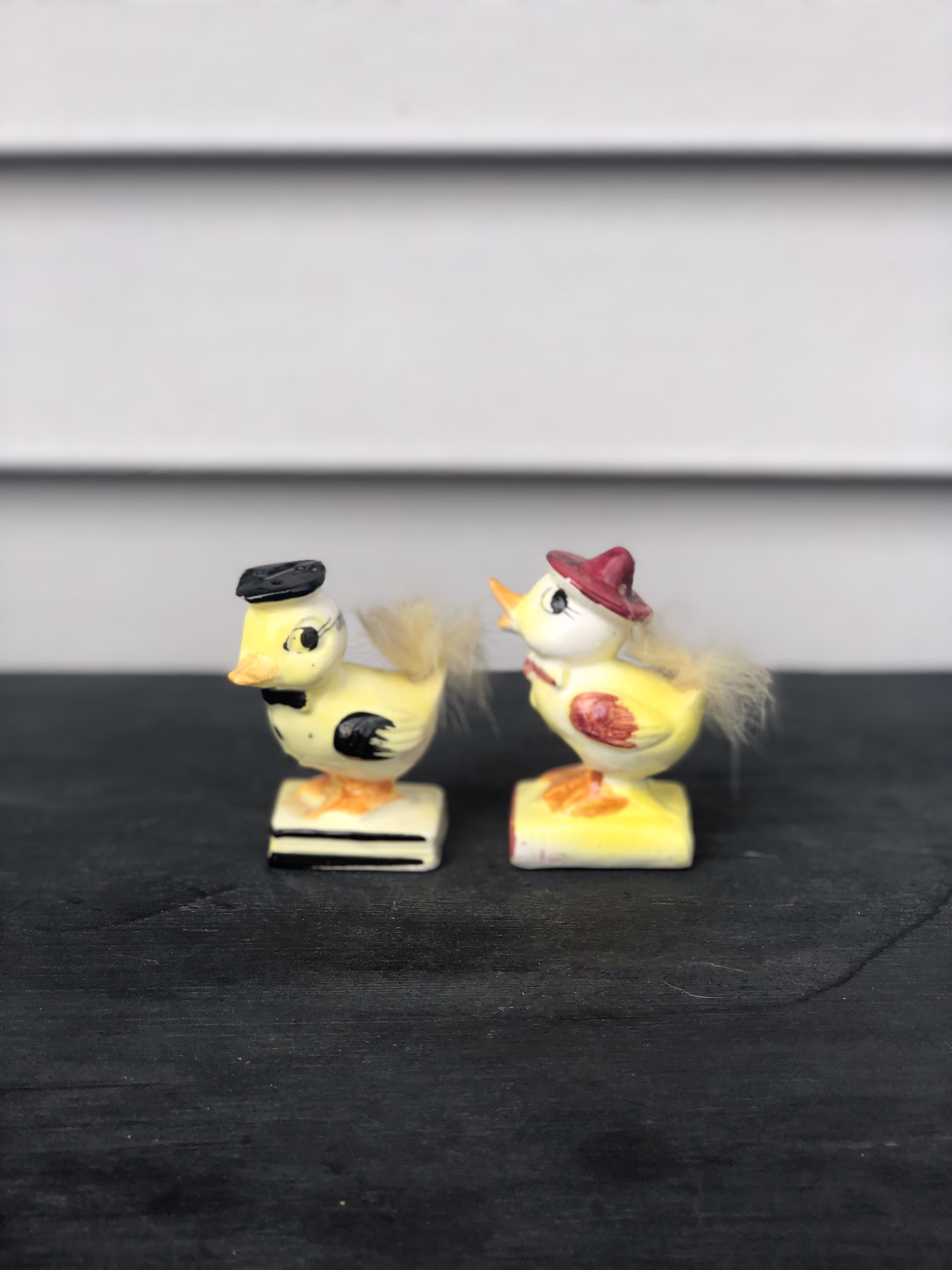 Ducks On Books With Feather Tail Salt & Pepper Shakers, Made in Japan