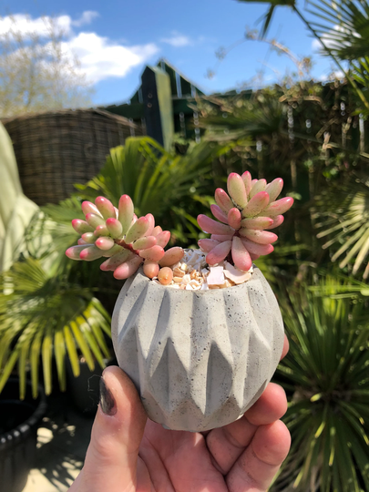 stone/Cre Set Of Geometric Mini Planters For Succulents/Cactus Home Decor Plant Pot