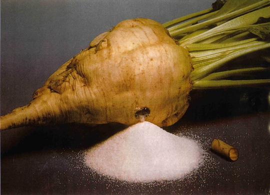 Sugar Beet Seeds - Heirloom Open Pollinated Garden Vegetable