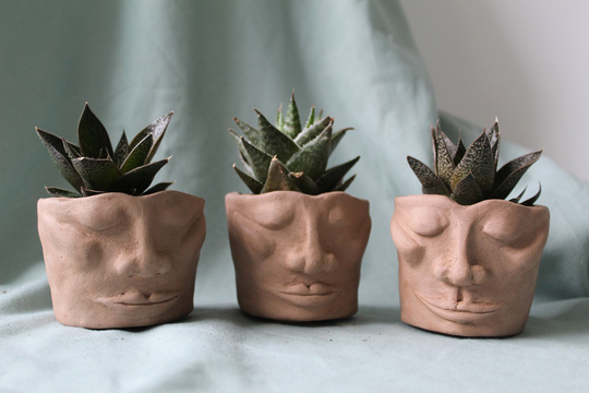 Mini Plant Pots - Perfect For Cacti & Succulents