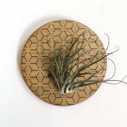 Small Round Engraved Wall Planter For Air Plants