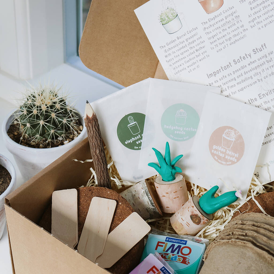 Let's Grow Crazy Cactuses Kit