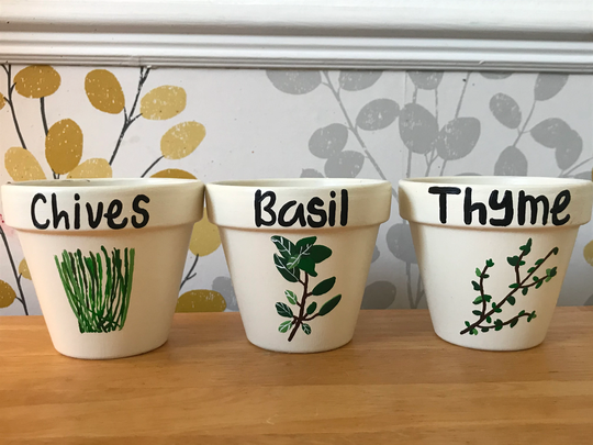 Herb Plant Pots