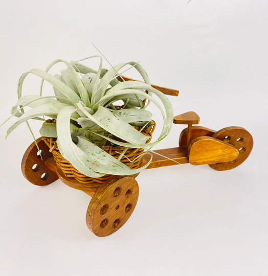 Vintage Tricycle/Bicycle Planter - Moveable Wheels + Turning Handle Wicker Wood Carnival Glass Bowl