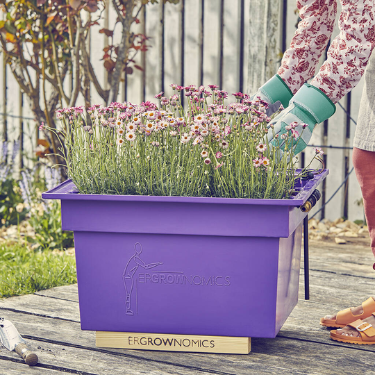 Introduction To Container Growing Kit