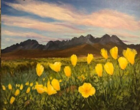 20x16 Organ Mountains With Poppies