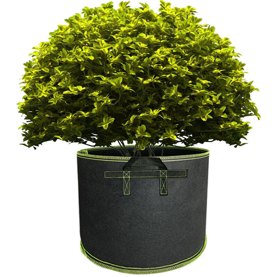 MUFF Planting grow bags 10-pack Plat pots made of fabric felt(Black+color border,5 gallon,30*25cm)