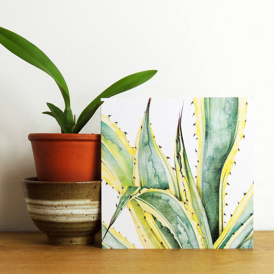 Agave Greetings Card