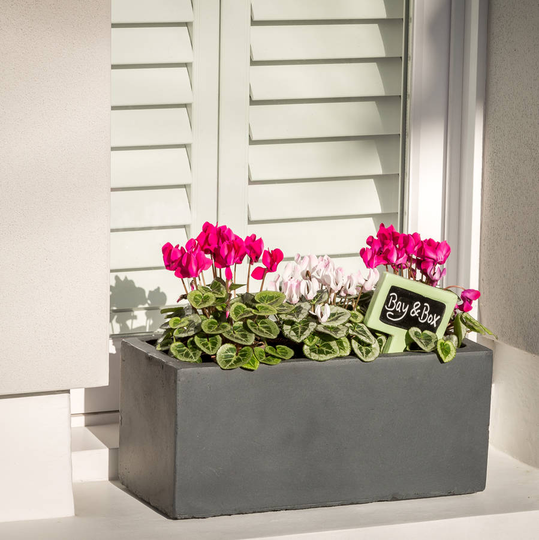 Small Window Box Planter In Hampstead Lead