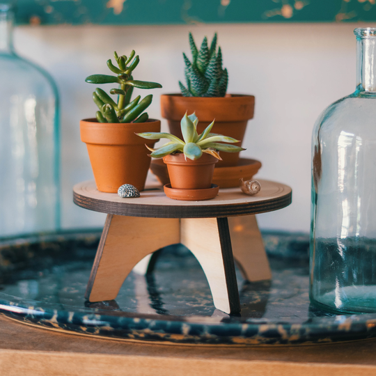 Mid Century Modern 6