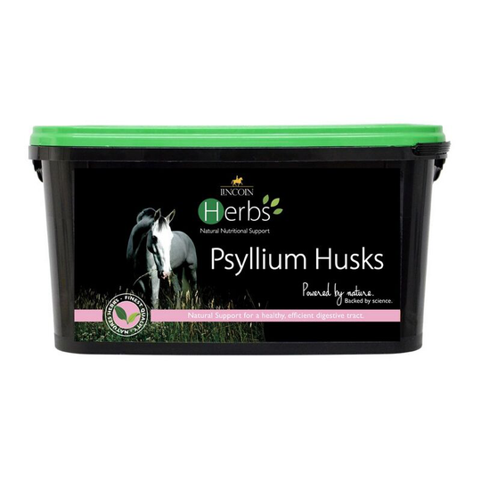 Lincoln Herbs - Psyllium Husks (1.5kg) (One Size) (May Vary) - May Vary
