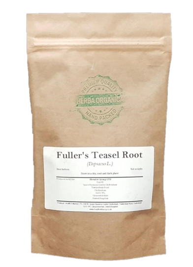 Fuller's Teasel Root - Dipsacus L # Herba Organica