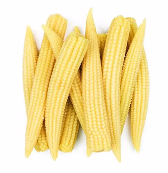 Mini Sweetcorn Seeds - Minipop Miniture White Corn 20 | UK Seller