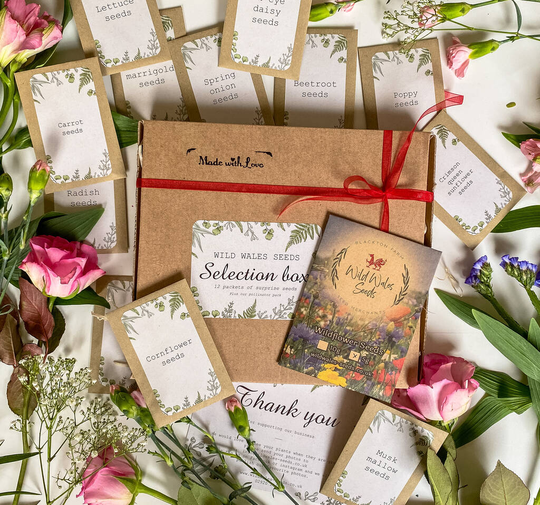Surprise Wildflower Seed Selection Box