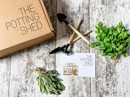 Grow Your Own Calming Herbs Kit - The Potting Shed Indoor Herb Garden
