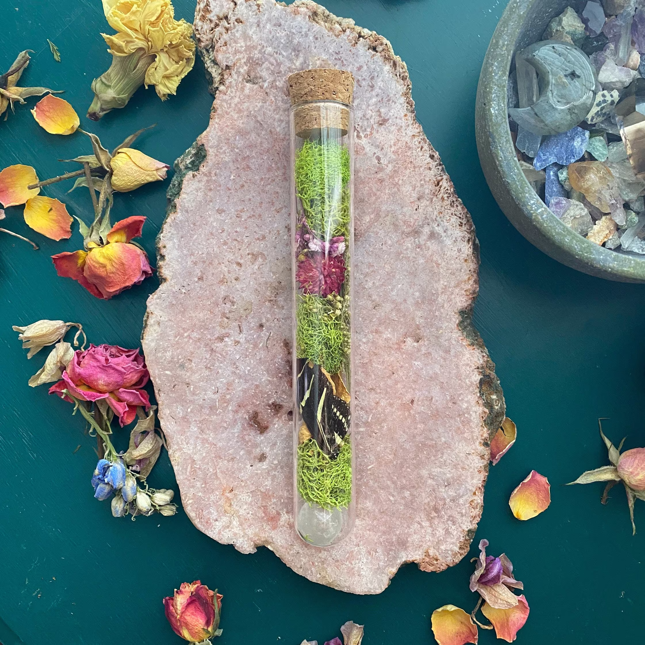 Real Butterfly Wing in Glass Jar With Crystals & Dried Moss