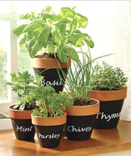 Beautiful Hand Painted Terracotta Succulent Pot With Spices Names For Indoors & Outdoors Drainage Hole At The Bottom. Seeds Included