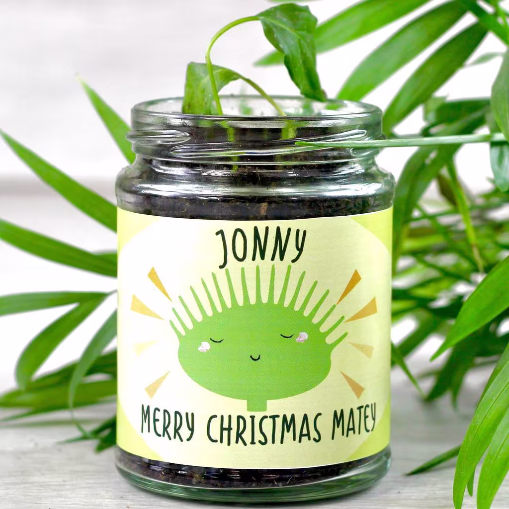 Personalised Bug Eating Plant Jar Grow Kit