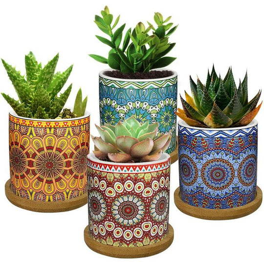 Einemgeld - 4PCS Flower Pot, 2.8 inch Mini Ceramic Succulent Pots Horticultural Planter with Bamboo Tray for Small Plants Flowers Cactus, Home Home