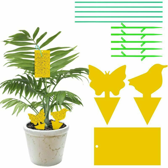 DECKON 30 Pack Insect Traps Sticky Traps Double Sided Adhesive Stickers Waterproof Yellow Flytrap White Aphids Garden Plants Flowers Fruits (3 Shapes)