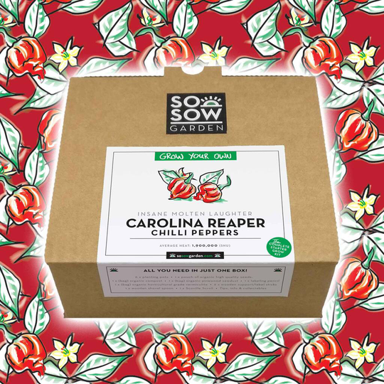 Carolina Reaper Chilli Pepper Grow Your Own Kit