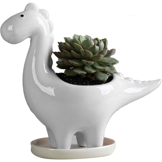 Ceramic Succulent Plant Pot - Creative Cacti - Decorative Flower Pot For Home, Office - White